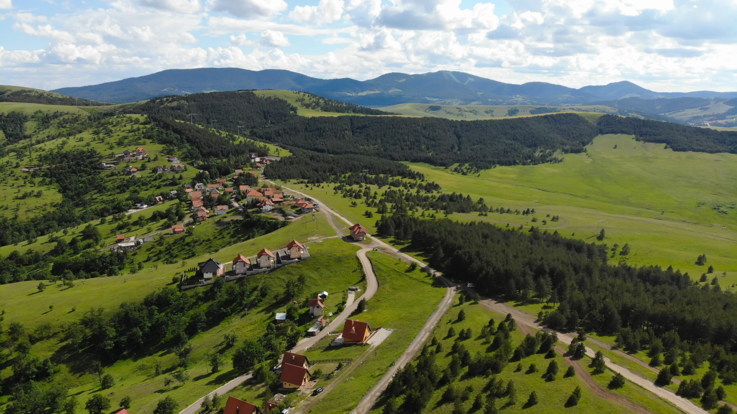 Zlatibor planina
