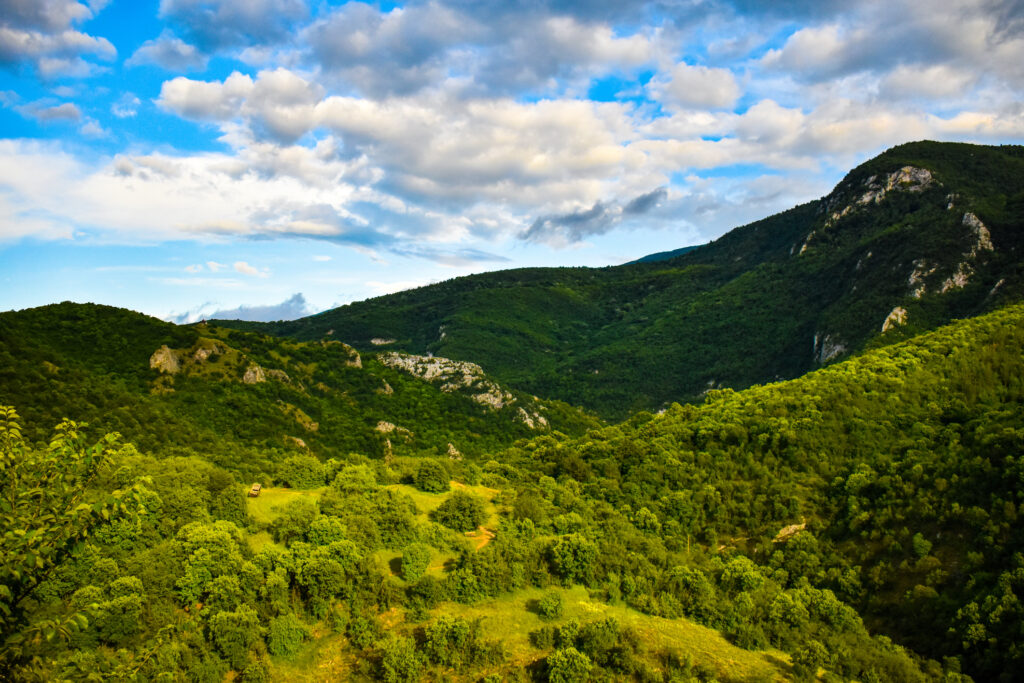 gojna gora