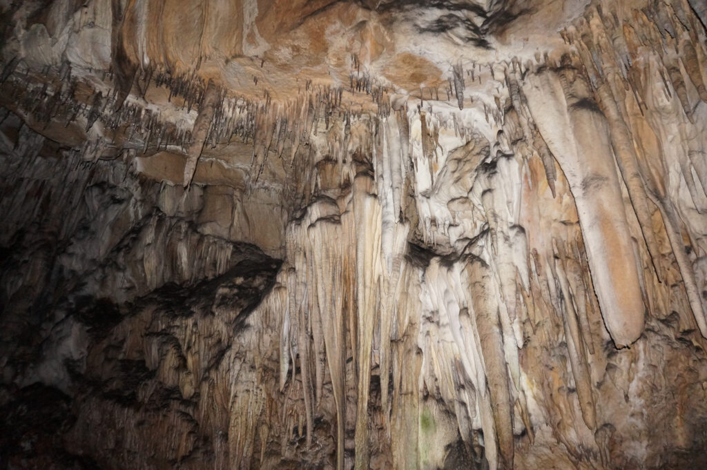 Bogovinska pećina, Srbija