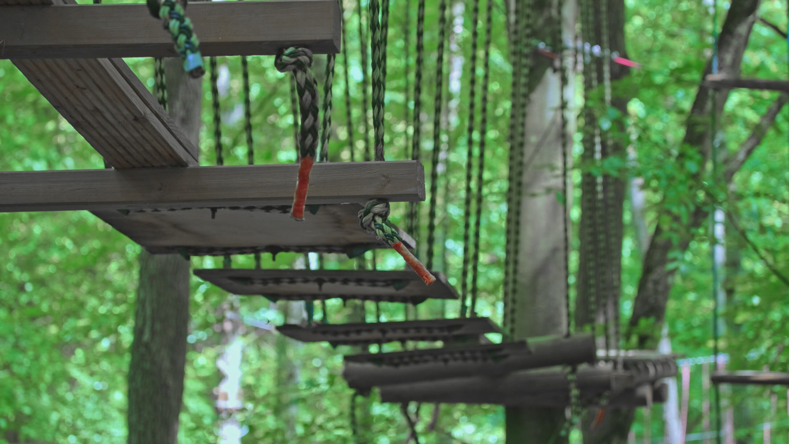 avantura park srbija