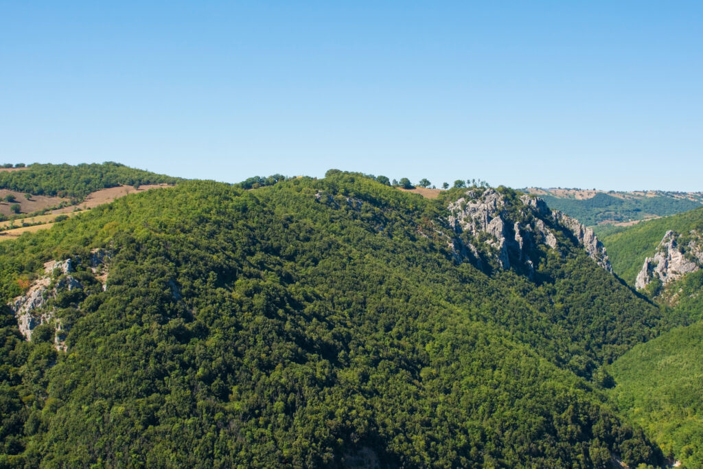 Planina Cer, Srbija