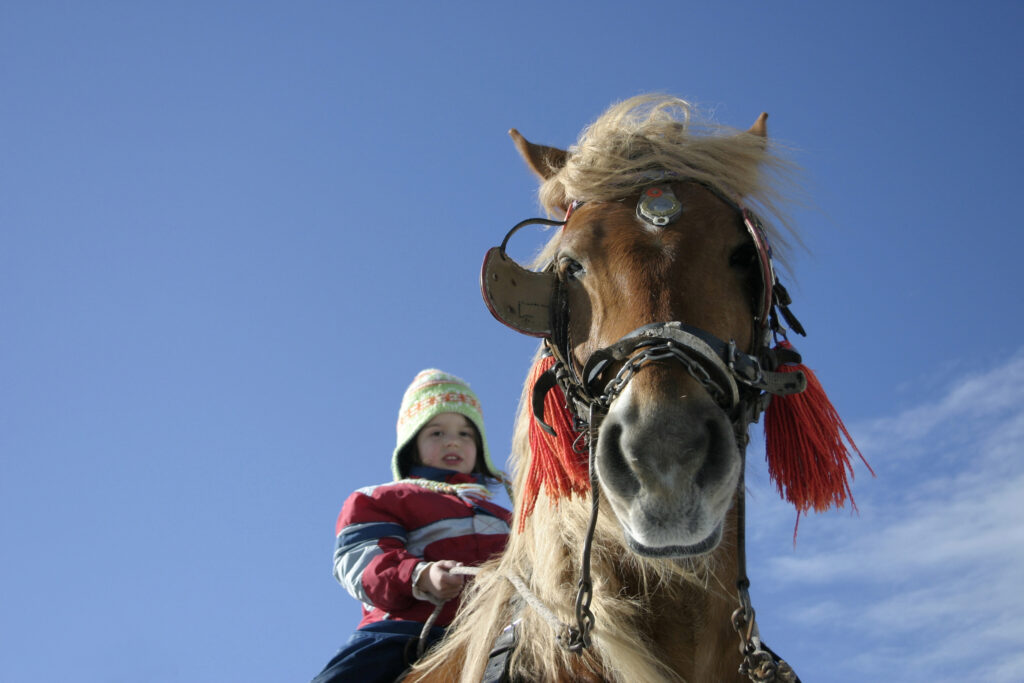 Jahanje konja na Kopaoniku